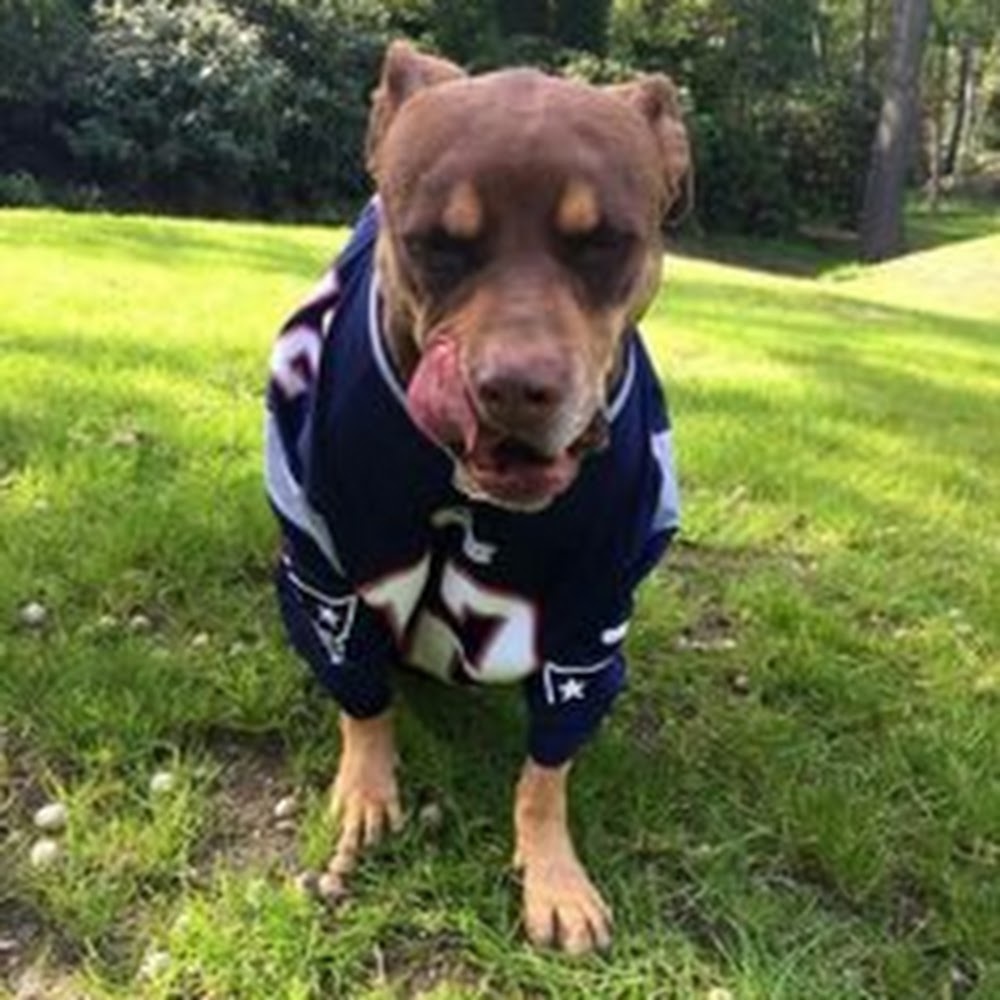 Meet your Posher, Jewel